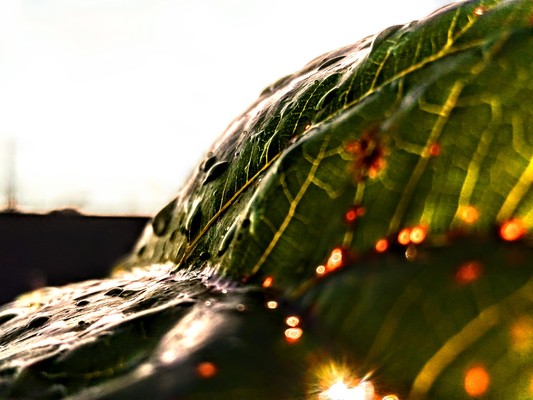 Product picture Capture the Moment